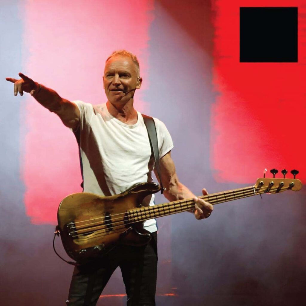 Mushroom-Motion-Pic-2