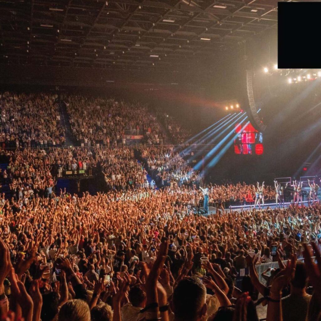 Mushroom-Motion-Pic-4