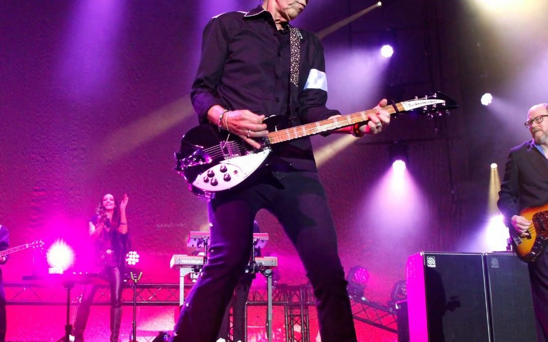 Mushroom Motion multicam concert production — live guitarist performing on stage under purple and white spotlights at a South African live music event